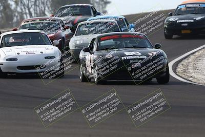 media/Feb-22-2025-CalClub SCCA (Sat) [[57201885c5]]/Group Two/Group 2B/